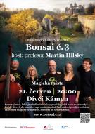 Bonsai č.3